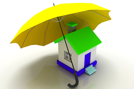 Umbrella Liability Insurance